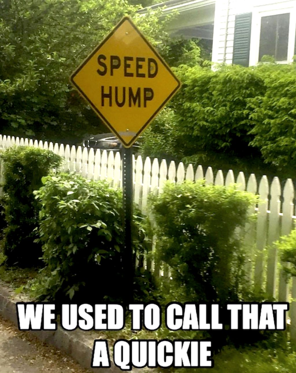 speed hump.jpg