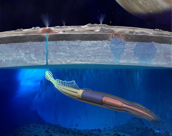 squid-rover-europa.jpg