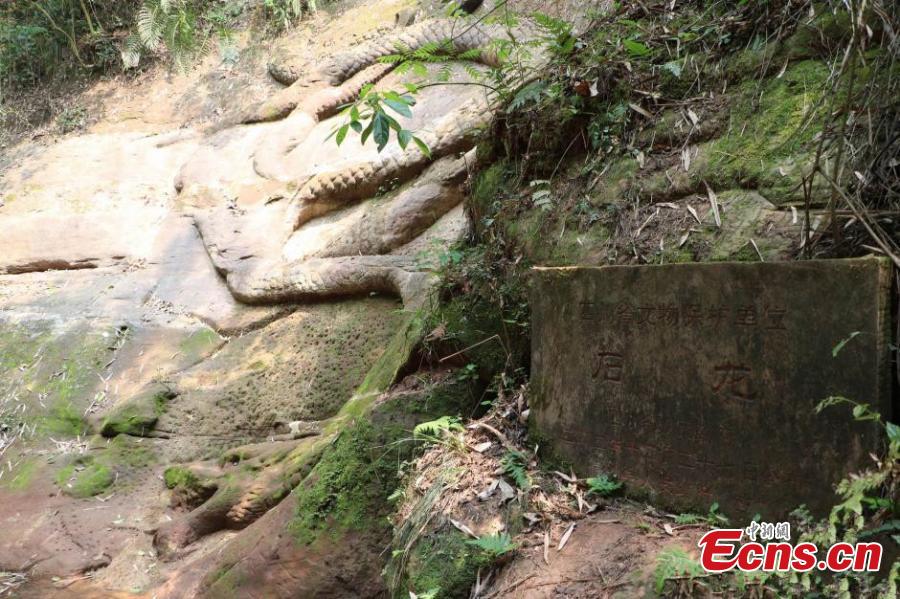 Stone-Dragon,Meishan-City,Sichuan.(2).5May2016.jpg