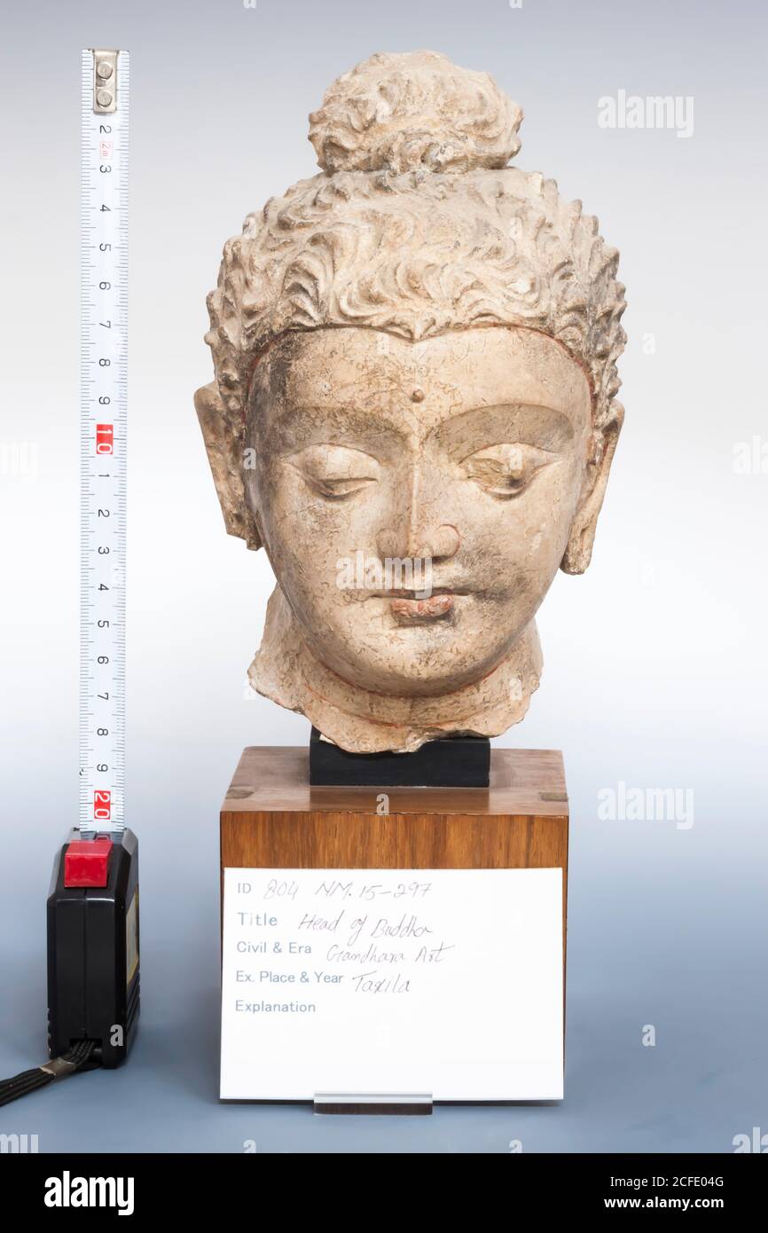 stucco-head-of-the-buddha-from-mohra-muradu-in-taxila-gallery-of-gandhara-national-museum-of-p...jpg