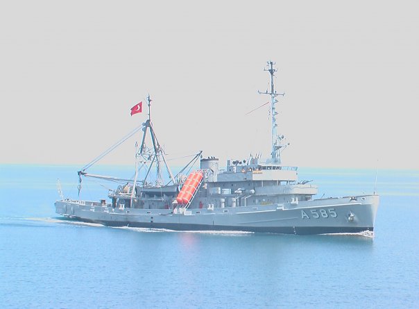 TCG AKIN - 585.jpg