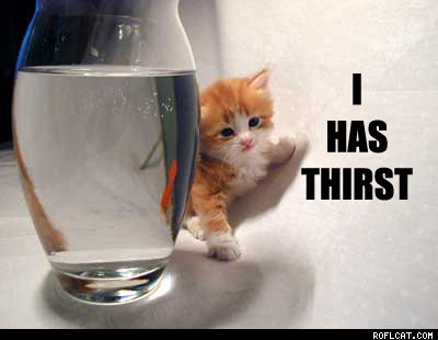 thirsty[1].jpg