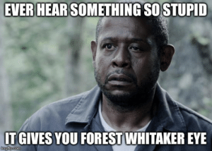 thumb_ever-hear-something-so-stupid-it-gives-you-forest-whitaker-53341422.png