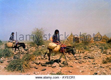 tihama-saudi-arabia-bedouin-women-on-donkeys-on-way-to-abu-arish-market-ayecr1.jpg