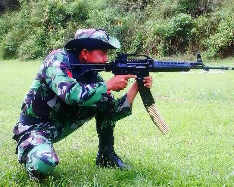 tni2.jpg