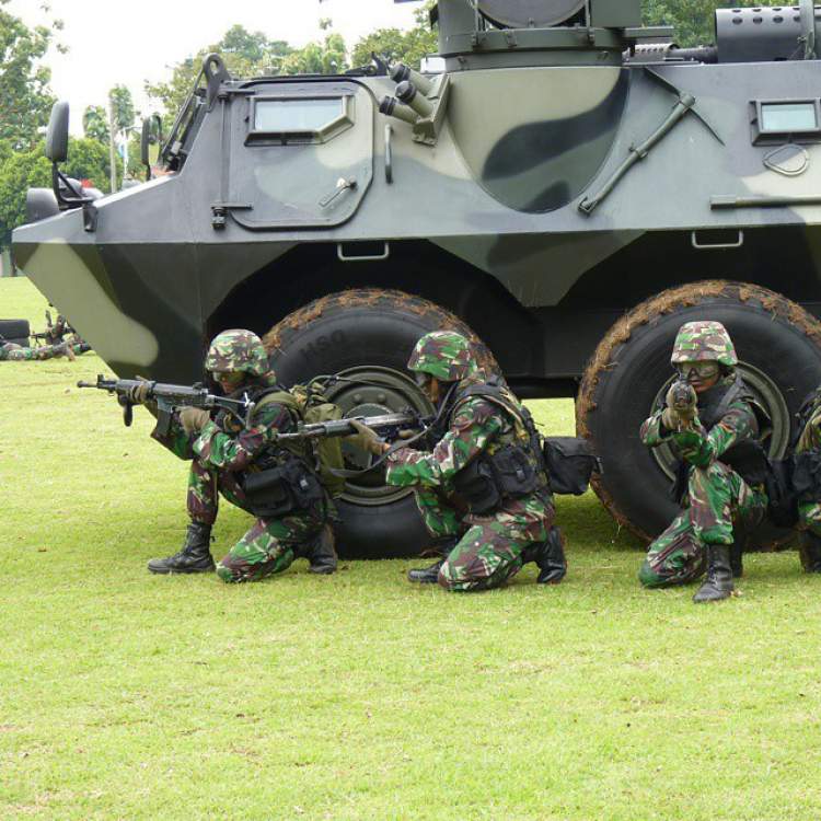 tni5.jpg