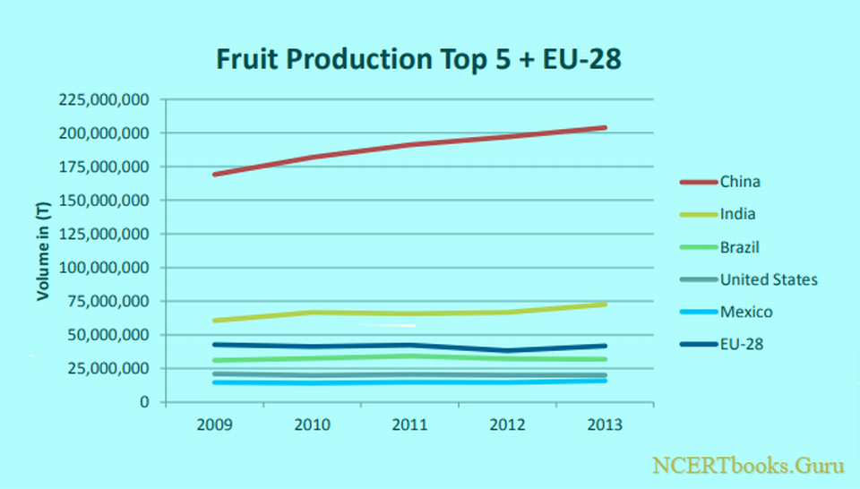 调整大小 top-5-ranked-Fruit-production-countries-in-the-world.png