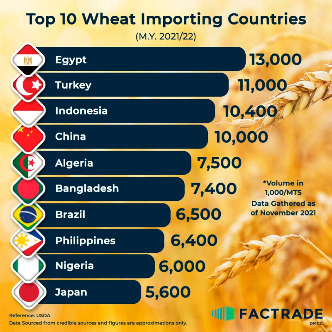 Top_10_Wheat_Importing_Countries_21_h1hhKa7.jpg