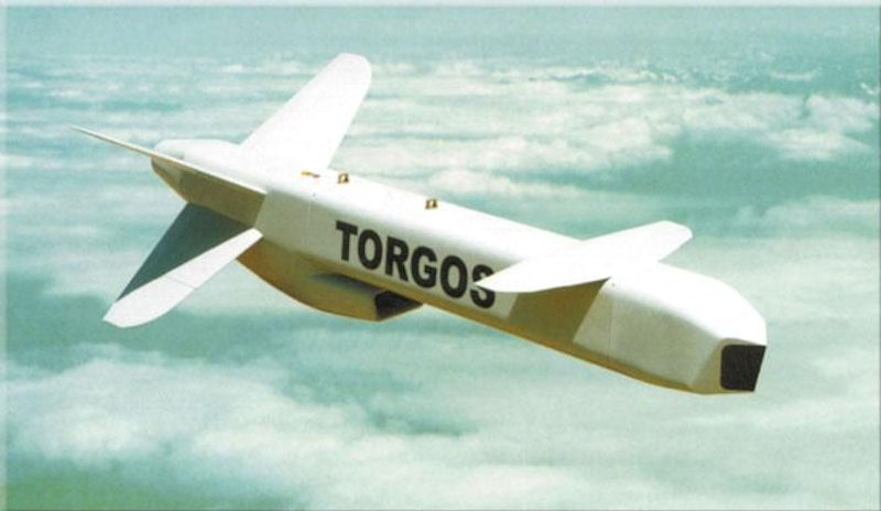 torgos-image01.jpg