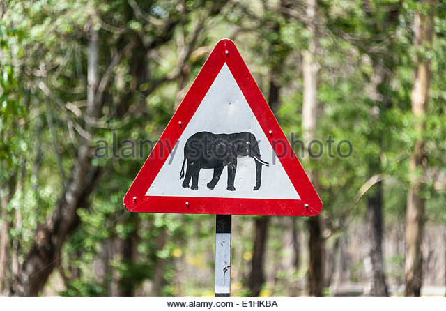 traffic-signs-warning-of-crossing-elephants-nagarhole-national-park-e1hkba.jpg