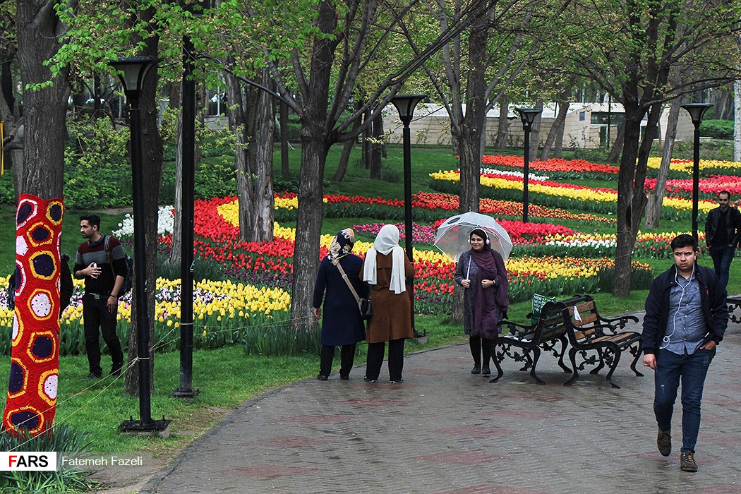 tulip fest.jpg