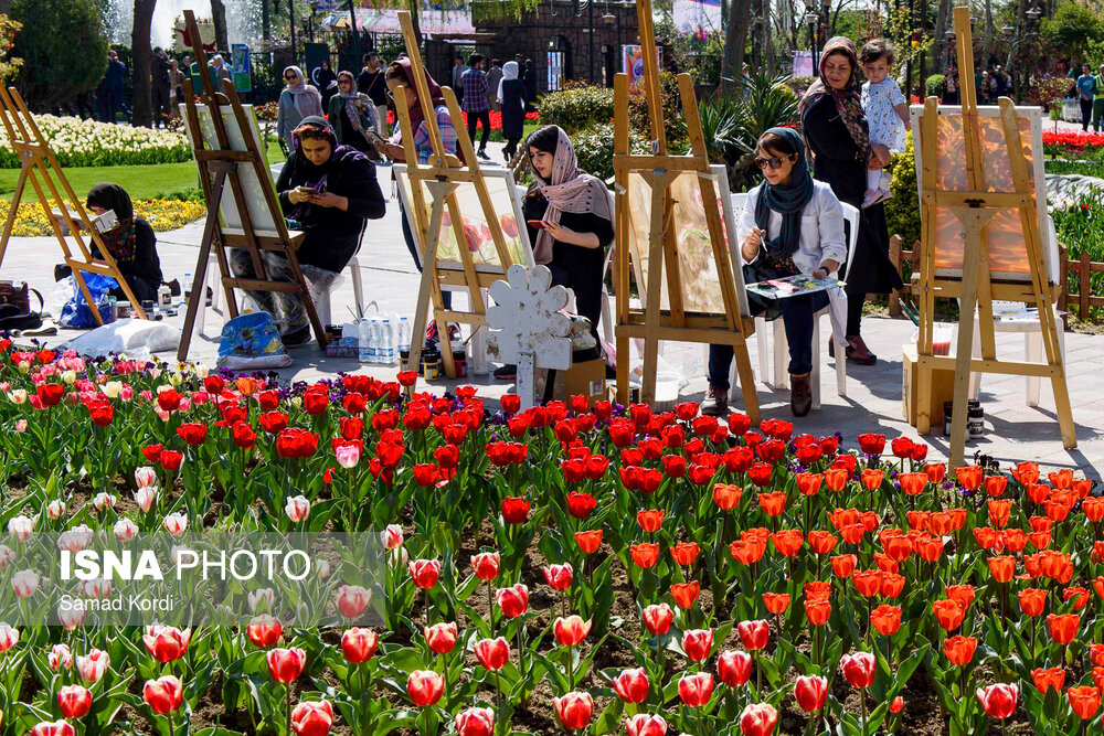 tulips-alborz-20.jpg