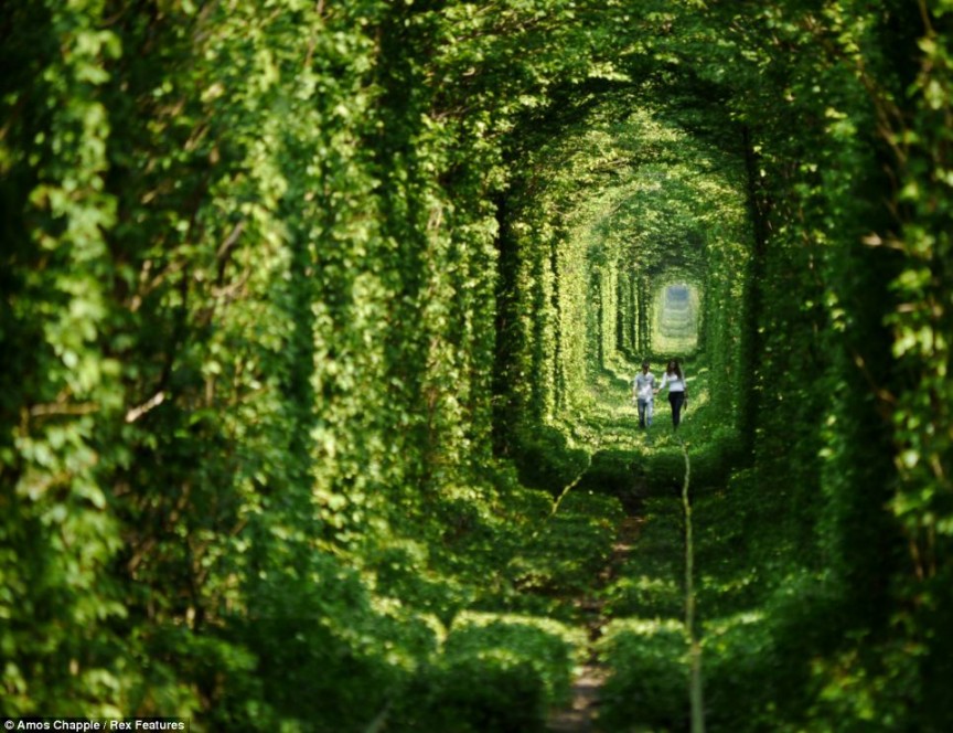 Tunnel-of-Love-Ukraine.jpg