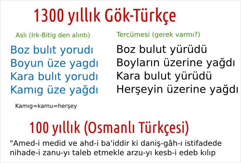 turkD.jpg