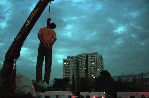 turkey 12 8 15 CraneHanging2.jpg