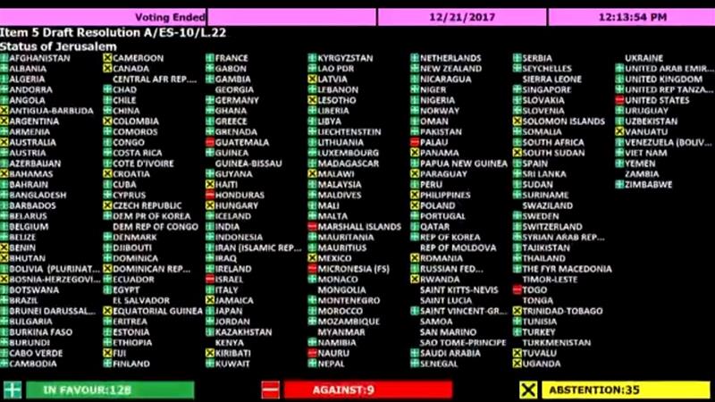 UN General Assembly Vote.jpg