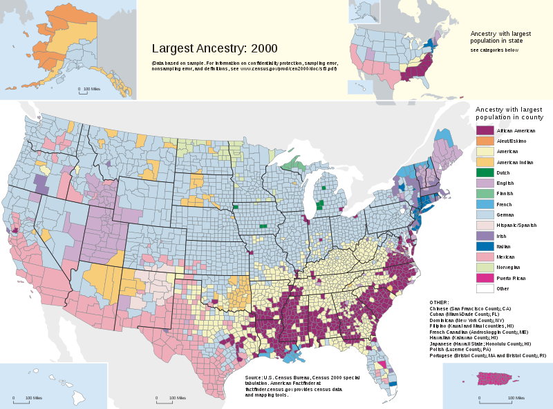 usa_demographics.png