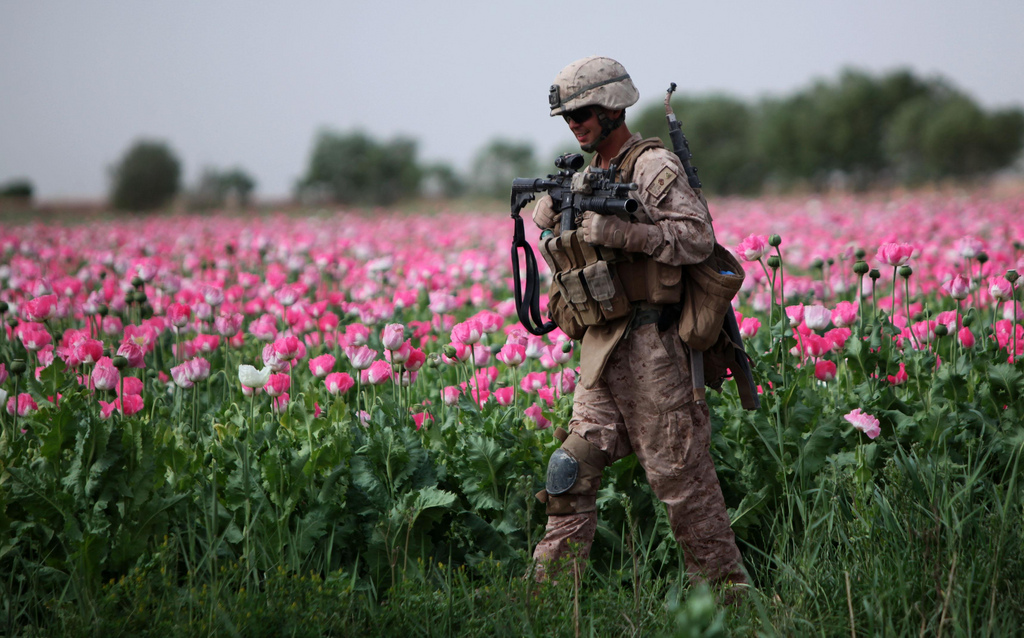 USNATO-poppies18.jpg