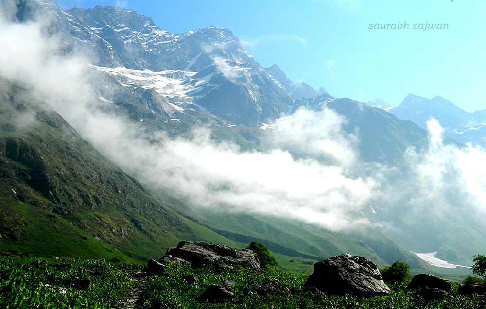 valley-of-flowers-2617562.jpg