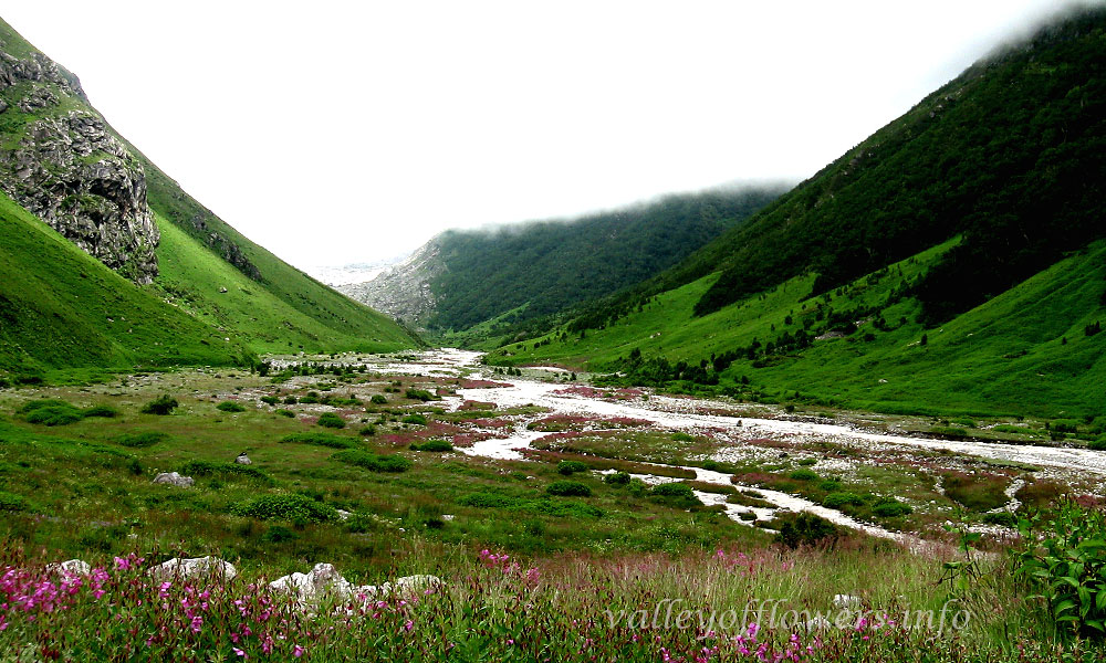 Valley-of-Flowers.jpg