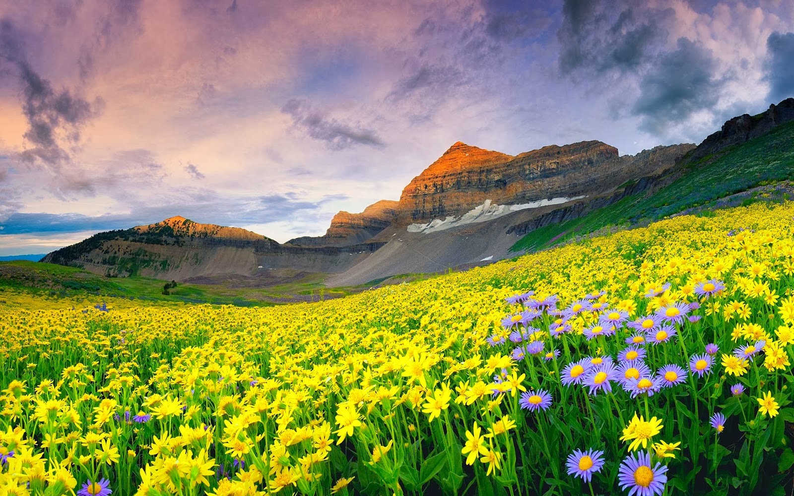 Valley of Flowers Trek with Trek Mates India1.jpg
