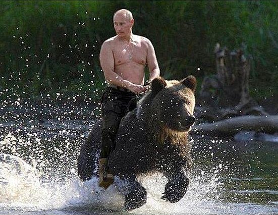 Vladimir Putin riding a bear.jpeg