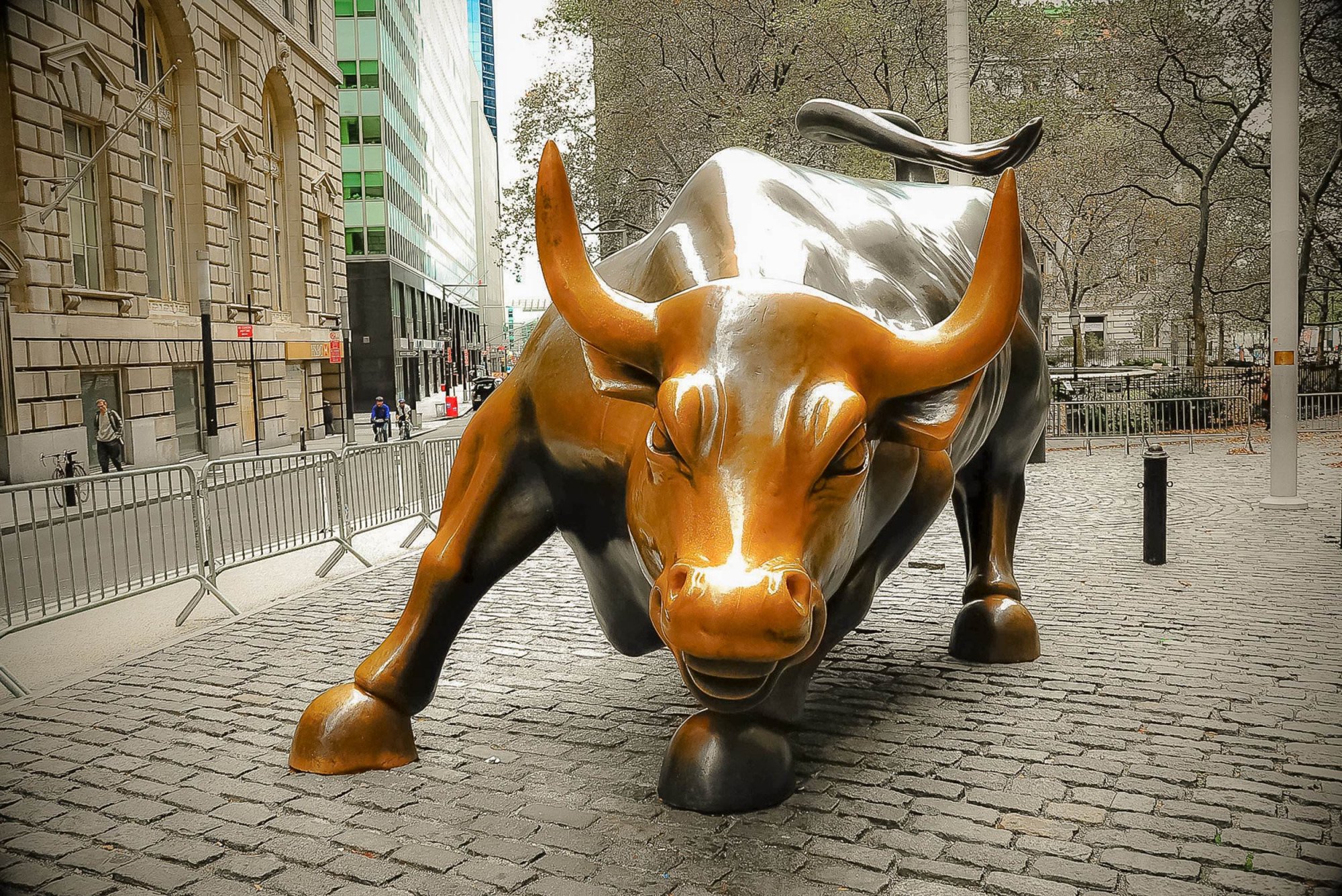 Wall Street Bull.jpg