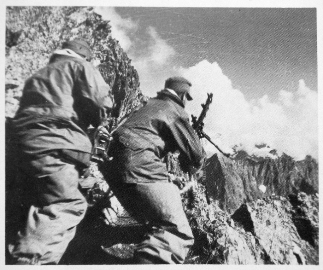 wehrmacht-attack-caucasus-650[1].JPG