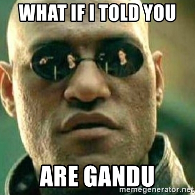 what-if-i-told-you-are-gandu.jpg