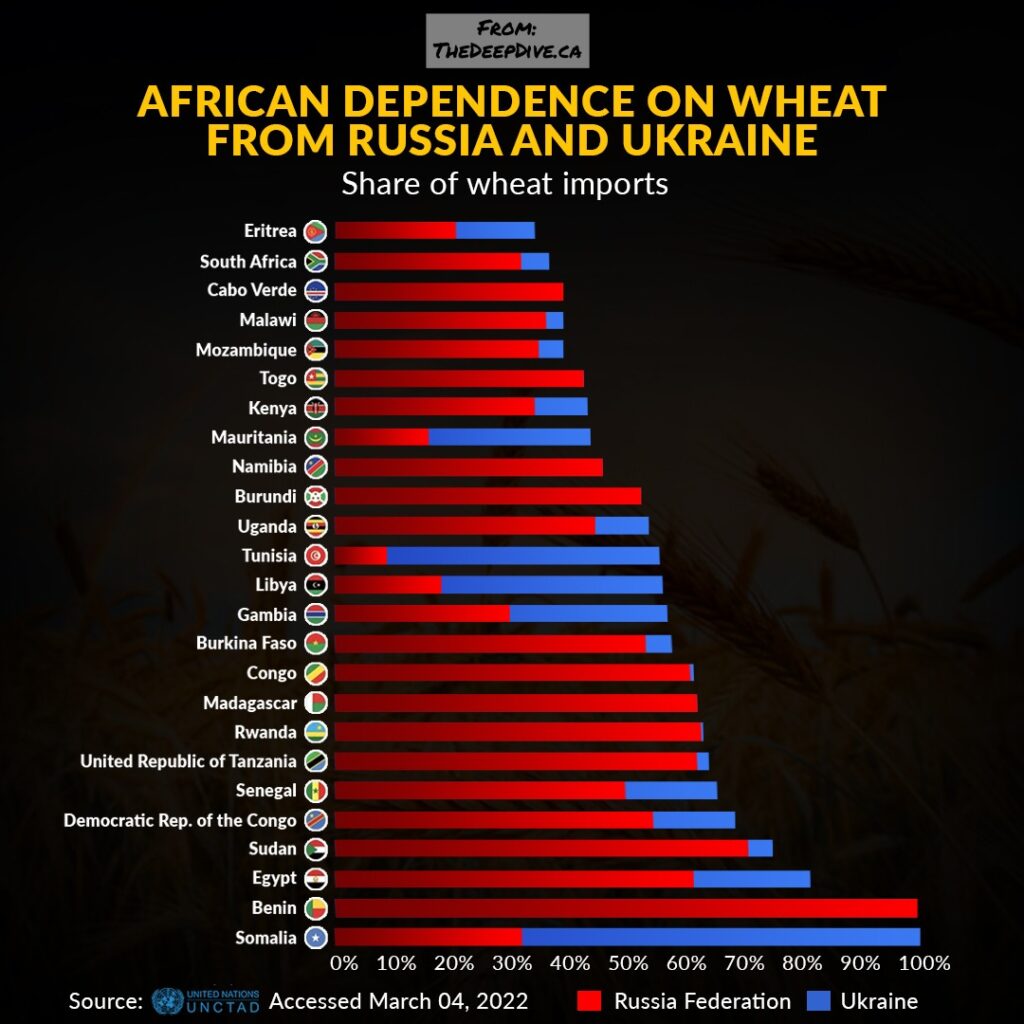 Wheat-Imports-UN-Data-1024x1024.jpeg