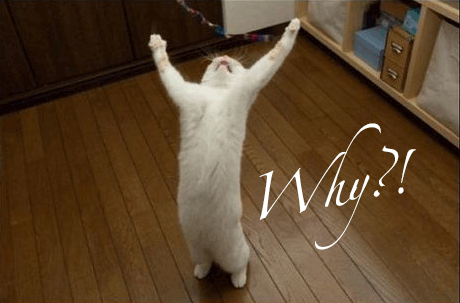 why-god-why1[1].gif