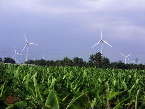 Wind farms 1.jpg