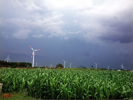 Wind farms 2.jpg