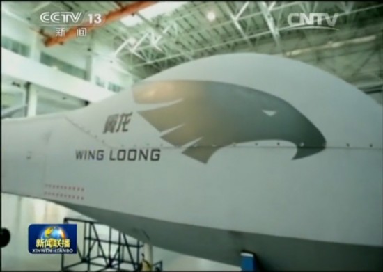 winglong_03.jpg