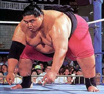 Yokozuna.gif