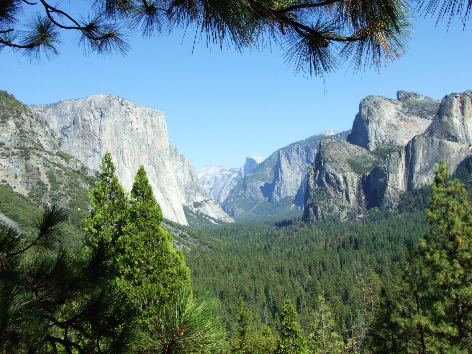 Yosemite[1].jpg