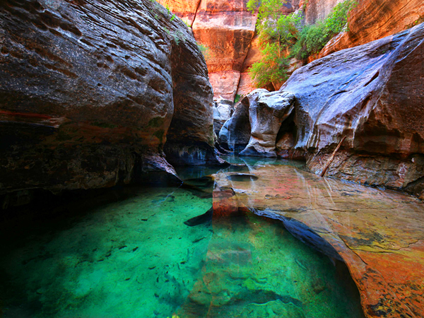zion-national-park-subway-emerald-water-pool_51258_600x450.jpg