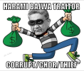 bajwa harami thief 2.png