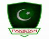 pakistani-hackers-deface-indian-government-sites.jpg