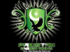 pakistan-cyber-army.png