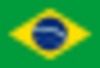 22px-Flag_of_Brazil.svg.png