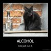 demotivation.us_ALCOHOL-Cats-just-love-it_13030561969.jpg