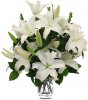 white-lilies[1].jpg