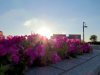 Myphotography25.jpg