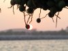 Myphotography37.jpg
