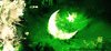 pakistan_flag_by_isohail-d8d2d5b.jpg