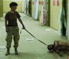 abu-ghraib--1a.jpg