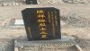 921765-chinese-tombstone-newting.jpg