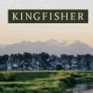 kingfisher99