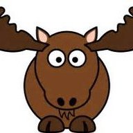 Moose